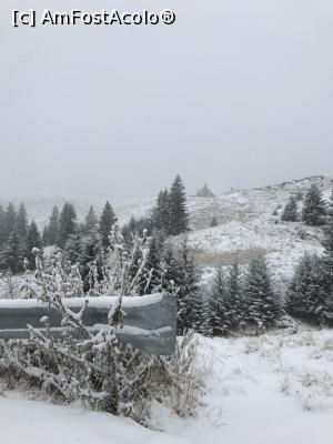 [P18] Către Sinaia » foto by krisstinna
 - 
<span class="allrVoted glyphicon glyphicon-heart hidden" id="av1212225"></span>
<a class="m-l-10 hidden" id="sv1212225" onclick="voting_Foto_DelVot(,1212225,3677)" role="button">șterge vot <span class="glyphicon glyphicon-remove"></span></a>
<a id="v91212225" class=" c-red"  onclick="voting_Foto_SetVot(1212225)" role="button"><span class="glyphicon glyphicon-heart-empty"></span> <b>LIKE</b> = Votează poza</a> <img class="hidden"  id="f1212225W9" src="/imagini/loader.gif" border="0" /><span class="AjErrMes hidden" id="e1212225ErM"></span>