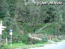 [P06] Busteni - o maicuta urca spre Manastirea Caraiman » foto by ascent
 - 
<span class="allrVoted glyphicon glyphicon-heart hidden" id="av158693"></span>
<a class="m-l-10 hidden" id="sv158693" onclick="voting_Foto_DelVot(,158693,3677)" role="button">șterge vot <span class="glyphicon glyphicon-remove"></span></a>
<a id="v9158693" class=" c-red"  onclick="voting_Foto_SetVot(158693)" role="button"><span class="glyphicon glyphicon-heart-empty"></span> <b>LIKE</b> = Votează poza</a> <img class="hidden"  id="f158693W9" src="/imagini/loader.gif" border="0" /><span class="AjErrMes hidden" id="e158693ErM"></span>