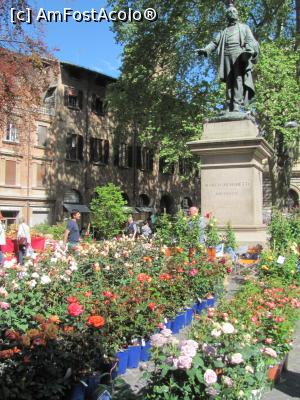 [P39] Targul de flori » foto by Radu Tudoran
 - 
<span class="allrVoted glyphicon glyphicon-heart hidden" id="av759734"></span>
<a class="m-l-10 hidden" id="sv759734" onclick="voting_Foto_DelVot(,759734,3721)" role="button">șterge vot <span class="glyphicon glyphicon-remove"></span></a>
<a id="v9759734" class=" c-red"  onclick="voting_Foto_SetVot(759734)" role="button"><span class="glyphicon glyphicon-heart-empty"></span> <b>LIKE</b> = Votează poza</a> <img class="hidden"  id="f759734W9" src="/imagini/loader.gif" border="0" /><span class="AjErrMes hidden" id="e759734ErM"></span>