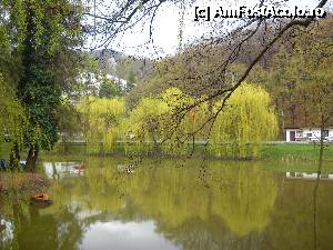 [P14] lacul » foto by inutiu
 - 
<span class="allrVoted glyphicon glyphicon-heart hidden" id="av347149"></span>
<a class="m-l-10 hidden" id="sv347149" onclick="voting_Foto_DelVot(,347149,3740)" role="button">șterge vot <span class="glyphicon glyphicon-remove"></span></a>
<a id="v9347149" class=" c-red"  onclick="voting_Foto_SetVot(347149)" role="button"><span class="glyphicon glyphicon-heart-empty"></span> <b>LIKE</b> = Votează poza</a> <img class="hidden"  id="f347149W9" src="/imagini/loader.gif" border="0" /><span class="AjErrMes hidden" id="e347149ErM"></span>