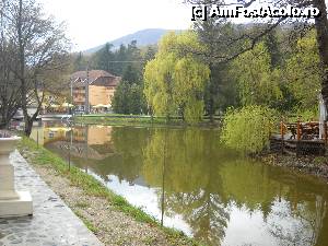 [P19] lacul » foto by inutiu
 - 
<span class="allrVoted glyphicon glyphicon-heart hidden" id="av347159"></span>
<a class="m-l-10 hidden" id="sv347159" onclick="voting_Foto_DelVot(,347159,3740)" role="button">șterge vot <span class="glyphicon glyphicon-remove"></span></a>
<a id="v9347159" class=" c-red"  onclick="voting_Foto_SetVot(347159)" role="button"><span class="glyphicon glyphicon-heart-empty"></span> <b>LIKE</b> = Votează poza</a> <img class="hidden"  id="f347159W9" src="/imagini/loader.gif" border="0" /><span class="AjErrMes hidden" id="e347159ErM"></span>