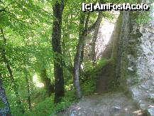 [P15] Imediat dupa zidul posterior al cetatii se casca o crevasa adanca » foto by dorgo
 - 
<span class="allrVoted glyphicon glyphicon-heart hidden" id="av199525"></span>
<a class="m-l-10 hidden" id="sv199525" onclick="voting_Foto_DelVot(,199525,3750)" role="button">șterge vot <span class="glyphicon glyphicon-remove"></span></a>
<a id="v9199525" class=" c-red"  onclick="voting_Foto_SetVot(199525)" role="button"><span class="glyphicon glyphicon-heart-empty"></span> <b>LIKE</b> = Votează poza</a> <img class="hidden"  id="f199525W9" src="/imagini/loader.gif" border="0" /><span class="AjErrMes hidden" id="e199525ErM"></span>