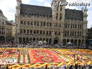 [P28] Adevarul este ca nu te poti satura de asemenea frumusete. Nu stii unde sa te uiti mai intai, la flori sau la cladire. Pacat ca faimosul turn este taiat in poza » foto by MCM
 - 
<span class="allrVoted glyphicon glyphicon-heart hidden" id="av386517"></span>
<a class="m-l-10 hidden" id="sv386517" onclick="voting_Foto_DelVot(,386517,3768)" role="button">șterge vot <span class="glyphicon glyphicon-remove"></span></a>
<a id="v9386517" class=" c-red"  onclick="voting_Foto_SetVot(386517)" role="button"><span class="glyphicon glyphicon-heart-empty"></span> <b>LIKE</b> = Votează poza</a> <img class="hidden"  id="f386517W9" src="/imagini/loader.gif" border="0" /><span class="AjErrMes hidden" id="e386517ErM"></span>