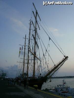 [P03] o aparitie pitoreasca » foto by Nicu V
 - 
<span class="allrVoted glyphicon glyphicon-heart hidden" id="av394721"></span>
<a class="m-l-10 hidden" id="sv394721" onclick="voting_Foto_DelVot(,394721,3774)" role="button">șterge vot <span class="glyphicon glyphicon-remove"></span></a>
<a id="v9394721" class=" c-red"  onclick="voting_Foto_SetVot(394721)" role="button"><span class="glyphicon glyphicon-heart-empty"></span> <b>LIKE</b> = Votează poza</a> <img class="hidden"  id="f394721W9" src="/imagini/loader.gif" border="0" /><span class="AjErrMes hidden" id="e394721ErM"></span>