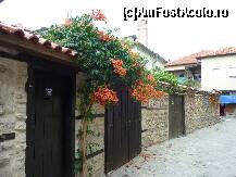 [P10] flori la tot pasul, care creaza o stare de romantism » foto by zpedro*
 - 
<span class="allrVoted glyphicon glyphicon-heart hidden" id="av110096"></span>
<a class="m-l-10 hidden" id="sv110096" onclick="voting_Foto_DelVot(,110096,3774)" role="button">șterge vot <span class="glyphicon glyphicon-remove"></span></a>
<a id="v9110096" class=" c-red"  onclick="voting_Foto_SetVot(110096)" role="button"><span class="glyphicon glyphicon-heart-empty"></span> <b>LIKE</b> = Votează poza</a> <img class="hidden"  id="f110096W9" src="/imagini/loader.gif" border="0" /><span class="AjErrMes hidden" id="e110096ErM"></span>
