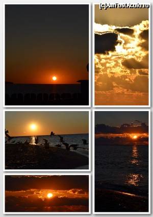 [P04] Rasarit superb.  » foto by Cucu Bau
 - 
<span class="allrVoted glyphicon glyphicon-heart hidden" id="av595514"></span>
<a class="m-l-10 hidden" id="sv595514" onclick="voting_Foto_DelVot(,595514,3774)" role="button">șterge vot <span class="glyphicon glyphicon-remove"></span></a>
<a id="v9595514" class=" c-red"  onclick="voting_Foto_SetVot(595514)" role="button"><span class="glyphicon glyphicon-heart-empty"></span> <b>LIKE</b> = Votează poza</a> <img class="hidden"  id="f595514W9" src="/imagini/loader.gif" border="0" /><span class="AjErrMes hidden" id="e595514ErM"></span>