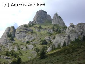 [P08]  -- <small>// FĂRĂ DESCRIERE</small> » foto by Testosu'
 - 
<span class="allrVoted glyphicon glyphicon-heart hidden" id="av747857"></span>
<a class="m-l-10 hidden" id="sv747857" onclick="voting_Foto_DelVot(,747857,3798)" role="button">șterge vot <span class="glyphicon glyphicon-remove"></span></a>
<a id="v9747857" class=" c-red"  onclick="voting_Foto_SetVot(747857)" role="button"><span class="glyphicon glyphicon-heart-empty"></span> <b>LIKE</b> = Votează poza</a> <img class="hidden"  id="f747857W9" src="/imagini/loader.gif" border="0" /><span class="AjErrMes hidden" id="e747857ErM"></span>