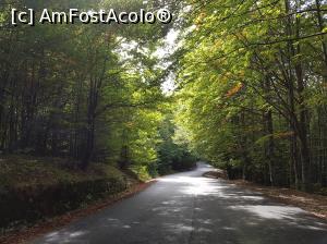 [P21] Sosise momentul să pornim către casă. Ziua este tot mai scurtă și ne-am dorit să ajungem acasă pe lumină.  » foto by Floryn81
 - 
<span class="allrVoted glyphicon glyphicon-heart hidden" id="av1112309"></span>
<a class="m-l-10 hidden" id="sv1112309" onclick="voting_Foto_DelVot(,1112309,3798)" role="button">șterge vot <span class="glyphicon glyphicon-remove"></span></a>
<a id="v91112309" class=" c-red"  onclick="voting_Foto_SetVot(1112309)" role="button"><span class="glyphicon glyphicon-heart-empty"></span> <b>LIKE</b> = Votează poza</a> <img class="hidden"  id="f1112309W9" src="/imagini/loader.gif" border="0" /><span class="AjErrMes hidden" id="e1112309ErM"></span>