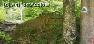 [P02] Triunghi albastru, imediat după punte. » foto by Aurici
 - 
<span class="allrVoted glyphicon glyphicon-heart hidden" id="av1174435"></span>
<a class="m-l-10 hidden" id="sv1174435" onclick="voting_Foto_DelVot(,1174435,3798)" role="button">șterge vot <span class="glyphicon glyphicon-remove"></span></a>
<a id="v91174435" class=" c-red"  onclick="voting_Foto_SetVot(1174435)" role="button"><span class="glyphicon glyphicon-heart-empty"></span> <b>LIKE</b> = Votează poza</a> <img class="hidden"  id="f1174435W9" src="/imagini/loader.gif" border="0" /><span class="AjErrMes hidden" id="e1174435ErM"></span>