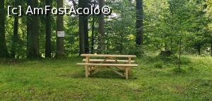 [P03] La intrarea în traseu poate vrei să te odihnești într-un cadru mirific. » foto by Aurici
 - 
<span class="allrVoted glyphicon glyphicon-heart hidden" id="av1174436"></span>
<a class="m-l-10 hidden" id="sv1174436" onclick="voting_Foto_DelVot(,1174436,3798)" role="button">șterge vot <span class="glyphicon glyphicon-remove"></span></a>
<a id="v91174436" class=" c-red"  onclick="voting_Foto_SetVot(1174436)" role="button"><span class="glyphicon glyphicon-heart-empty"></span> <b>LIKE</b> = Votează poza</a> <img class="hidden"  id="f1174436W9" src="/imagini/loader.gif" border="0" /><span class="AjErrMes hidden" id="e1174436ErM"></span>