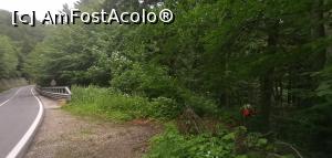 [P38] Imediat după, intrăm din nou în pădure, urmărind indicatorul cruce albastră. » foto by Aurici
 - 
<span class="allrVoted glyphicon glyphicon-heart hidden" id="av1174471"></span>
<a class="m-l-10 hidden" id="sv1174471" onclick="voting_Foto_DelVot(,1174471,3798)" role="button">șterge vot <span class="glyphicon glyphicon-remove"></span></a>
<a id="v91174471" class=" c-red"  onclick="voting_Foto_SetVot(1174471)" role="button"><span class="glyphicon glyphicon-heart-empty"></span> <b>LIKE</b> = Votează poza</a> <img class="hidden"  id="f1174471W9" src="/imagini/loader.gif" border="0" /><span class="AjErrMes hidden" id="e1174471ErM"></span>