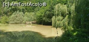 [P14] Un ochi de lac vis-a-vis de cascadă, lângă Ocolul Silvic. » foto by Aurici
 - 
<span class="allrVoted glyphicon glyphicon-heart hidden" id="av1273002"></span>
<a class="m-l-10 hidden" id="sv1273002" onclick="voting_Foto_DelVot(,1273002,3798)" role="button">șterge vot <span class="glyphicon glyphicon-remove"></span></a>
<a id="v91273002" class=" c-red"  onclick="voting_Foto_SetVot(1273002)" role="button"><span class="glyphicon glyphicon-heart-empty"></span> <b>LIKE</b> = Votează poza</a> <img class="hidden"  id="f1273002W9" src="/imagini/loader.gif" border="0" /><span class="AjErrMes hidden" id="e1273002ErM"></span>