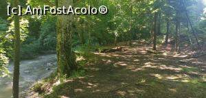 [P08] Un loc de picnic mai jos puțin de cascadă. » foto by Aurici
 - 
<span class="allrVoted glyphicon glyphicon-heart hidden" id="av1272996"></span>
<a class="m-l-10 hidden" id="sv1272996" onclick="voting_Foto_DelVot(,1272996,3798)" role="button">șterge vot <span class="glyphicon glyphicon-remove"></span></a>
<a id="v91272996" class=" c-red"  onclick="voting_Foto_SetVot(1272996)" role="button"><span class="glyphicon glyphicon-heart-empty"></span> <b>LIKE</b> = Votează poza</a> <img class="hidden"  id="f1272996W9" src="/imagini/loader.gif" border="0" /><span class="AjErrMes hidden" id="e1272996ErM"></span>