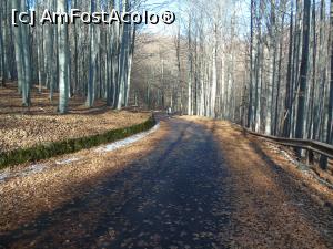 [P11] Greu la deal... Si au inceput sa apara primele semne de la zapada care cazuse in urma cu cateva zile.  » foto by Aurici
 - 
<span class="allrVoted glyphicon glyphicon-heart hidden" id="av825529"></span>
<a class="m-l-10 hidden" id="sv825529" onclick="voting_Foto_DelVot(,825529,3798)" role="button">șterge vot <span class="glyphicon glyphicon-remove"></span></a>
<a id="v9825529" class=" c-red"  onclick="voting_Foto_SetVot(825529)" role="button"><span class="glyphicon glyphicon-heart-empty"></span> <b>LIKE</b> = Votează poza</a> <img class="hidden"  id="f825529W9" src="/imagini/loader.gif" border="0" /><span class="AjErrMes hidden" id="e825529ErM"></span>