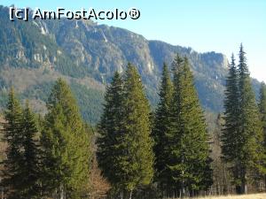 [P18] Si din nou spre Masivul Ciucas.  » foto by Aurici
 - 
<span class="allrVoted glyphicon glyphicon-heart hidden" id="av825536"></span>
<a class="m-l-10 hidden" id="sv825536" onclick="voting_Foto_DelVot(,825536,3798)" role="button">șterge vot <span class="glyphicon glyphicon-remove"></span></a>
<a id="v9825536" class=" c-red"  onclick="voting_Foto_SetVot(825536)" role="button"><span class="glyphicon glyphicon-heart-empty"></span> <b>LIKE</b> = Votează poza</a> <img class="hidden"  id="f825536W9" src="/imagini/loader.gif" border="0" /><span class="AjErrMes hidden" id="e825536ErM"></span>