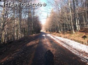 [P33] Si gata, ne-ntoarcem. Mai lunga-mi pare calea...  » foto by Aurici
 - 
<span class="allrVoted glyphicon glyphicon-heart hidden" id="av825556"></span>
<a class="m-l-10 hidden" id="sv825556" onclick="voting_Foto_DelVot(,825556,3798)" role="button">șterge vot <span class="glyphicon glyphicon-remove"></span></a>
<a id="v9825556" class=" c-red"  onclick="voting_Foto_SetVot(825556)" role="button"><span class="glyphicon glyphicon-heart-empty"></span> <b>LIKE</b> = Votează poza</a> <img class="hidden"  id="f825556W9" src="/imagini/loader.gif" border="0" /><span class="AjErrMes hidden" id="e825556ErM"></span>