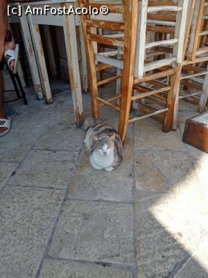 [P10] Un locuitor din Gaios. » foto by Rodel
 - 
<span class="allrVoted glyphicon glyphicon-heart hidden" id="av1338614"></span>
<a class="m-l-10 hidden" id="sv1338614" onclick="voting_Foto_DelVot(,1338614,3807)" role="button">șterge vot <span class="glyphicon glyphicon-remove"></span></a>
<a id="v91338614" class=" c-red"  onclick="voting_Foto_SetVot(1338614)" role="button"><span class="glyphicon glyphicon-heart-empty"></span> <b>LIKE</b> = Votează poza</a> <img class="hidden"  id="f1338614W9" src="/imagini/loader.gif" border="0" /><span class="AjErrMes hidden" id="e1338614ErM"></span>