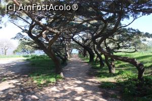 [P23] Insula Rodos, Mănăstirea Filerímos, Pe alei » foto by mprofeanu
 - 
<span class="allrVoted glyphicon glyphicon-heart hidden" id="av1423210"></span>
<a class="m-l-10 hidden" id="sv1423210" onclick="voting_Foto_DelVot(,1423210,3837)" role="button">șterge vot <span class="glyphicon glyphicon-remove"></span></a>
<a id="v91423210" class=" c-red"  onclick="voting_Foto_SetVot(1423210)" role="button"><span class="glyphicon glyphicon-heart-empty"></span> <b>LIKE</b> = Votează poza</a> <img class="hidden"  id="f1423210W9" src="/imagini/loader.gif" border="0" /><span class="AjErrMes hidden" id="e1423210ErM"></span>