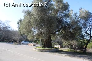 [P80] Insula Rodos, Biserica Sf. Nicolae Fountoulakis, Parcarea încojurată de pomi, Am Fost Acolo singuri cu trei pisici... » foto by mprofeanu
 - 
<span class="allrVoted glyphicon glyphicon-heart hidden" id="av1423864"></span>
<a class="m-l-10 hidden" id="sv1423864" onclick="voting_Foto_DelVot(,1423864,3837)" role="button">șterge vot <span class="glyphicon glyphicon-remove"></span></a>
<a id="v91423864" class=" c-red"  onclick="voting_Foto_SetVot(1423864)" role="button"><span class="glyphicon glyphicon-heart-empty"></span> <b>LIKE</b> = Votează poza</a> <img class="hidden"  id="f1423864W9" src="/imagini/loader.gif" border="0" /><span class="AjErrMes hidden" id="e1423864ErM"></span>