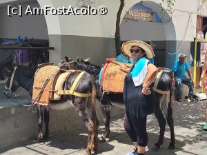 [P12] Orasul Lindos » foto by vlado2
 - 
<span class="allrVoted glyphicon glyphicon-heart hidden" id="av1518459"></span>
<a class="m-l-10 hidden" id="sv1518459" onclick="voting_Foto_DelVot(,1518459,3837)" role="button">șterge vot <span class="glyphicon glyphicon-remove"></span></a>
<a id="v91518459" class=" c-red"  onclick="voting_Foto_SetVot(1518459)" role="button"><span class="glyphicon glyphicon-heart-empty"></span> <b>LIKE</b> = Votează poza</a> <img class="hidden"  id="f1518459W9" src="/imagini/loader.gif" border="0" /><span class="AjErrMes hidden" id="e1518459ErM"></span>