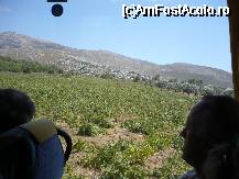 [P20] Rhodos - vita de vie celebra pentru vinul alb sec, obtinut doar din strugurii care cresc doar in insulele dodecanese » foto by danoradea
 - 
<span class="allrVoted glyphicon glyphicon-heart hidden" id="av26599"></span>
<a class="m-l-10 hidden" id="sv26599" onclick="voting_Foto_DelVot(,26599,3837)" role="button">șterge vot <span class="glyphicon glyphicon-remove"></span></a>
<a id="v926599" class=" c-red"  onclick="voting_Foto_SetVot(26599)" role="button"><span class="glyphicon glyphicon-heart-empty"></span> <b>LIKE</b> = Votează poza</a> <img class="hidden"  id="f26599W9" src="/imagini/loader.gif" border="0" /><span class="AjErrMes hidden" id="e26599ErM"></span>