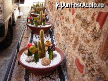 [P18] Intregul decor cu cactusi pe una din stradutele din Lindos » foto by BOGDAN DSN
 - 
<span class="allrVoted glyphicon glyphicon-heart hidden" id="av131786"></span>
<a class="m-l-10 hidden" id="sv131786" onclick="voting_Foto_DelVot(,131786,3837)" role="button">șterge vot <span class="glyphicon glyphicon-remove"></span></a>
<a id="v9131786" class=" c-red"  onclick="voting_Foto_SetVot(131786)" role="button"><span class="glyphicon glyphicon-heart-empty"></span> <b>LIKE</b> = Votează poza</a> <img class="hidden"  id="f131786W9" src="/imagini/loader.gif" border="0" /><span class="AjErrMes hidden" id="e131786ErM"></span>