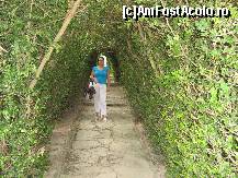 [P07] Plimbare emotionanta pe aleile incarcate de istorie ale Castelului Balcic. » foto by stancuandreea*
 - 
<span class="allrVoted glyphicon glyphicon-heart hidden" id="av115942"></span>
<a class="m-l-10 hidden" id="sv115942" onclick="voting_Foto_DelVot(,115942,3839)" role="button">șterge vot <span class="glyphicon glyphicon-remove"></span></a>
<a id="v9115942" class=" c-red"  onclick="voting_Foto_SetVot(115942)" role="button"><span class="glyphicon glyphicon-heart-empty"></span> <b>LIKE</b> = Votează poza</a> <img class="hidden"  id="f115942W9" src="/imagini/loader.gif" border="0" /><span class="AjErrMes hidden" id="e115942ErM"></span>