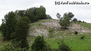 [P23] Aici se ardea calcarul și se obținea varul » foto by bog68
 - 
<span class="allrVoted glyphicon glyphicon-heart hidden" id="av527601"></span>
<a class="m-l-10 hidden" id="sv527601" onclick="voting_Foto_DelVot(,527601,3841)" role="button">șterge vot <span class="glyphicon glyphicon-remove"></span></a>
<a id="v9527601" class=" c-red"  onclick="voting_Foto_SetVot(527601)" role="button"><span class="glyphicon glyphicon-heart-empty"></span> <b>LIKE</b> = Votează poza</a> <img class="hidden"  id="f527601W9" src="/imagini/loader.gif" border="0" /><span class="AjErrMes hidden" id="e527601ErM"></span>