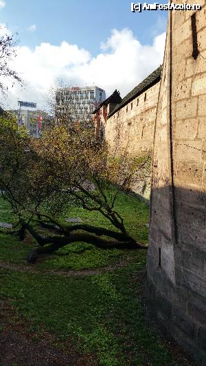 [P44] zidurile groase ce înconjoară orașul » foto by robert
 - 
<span class="allrVoted glyphicon glyphicon-heart hidden" id="av694511"></span>
<a class="m-l-10 hidden" id="sv694511" onclick="voting_Foto_DelVot(,694511,3842)" role="button">șterge vot <span class="glyphicon glyphicon-remove"></span></a>
<a id="v9694511" class=" c-red"  onclick="voting_Foto_SetVot(694511)" role="button"><span class="glyphicon glyphicon-heart-empty"></span> <b>LIKE</b> = Votează poza</a> <img class="hidden"  id="f694511W9" src="/imagini/loader.gif" border="0" /><span class="AjErrMes hidden" id="e694511ErM"></span>