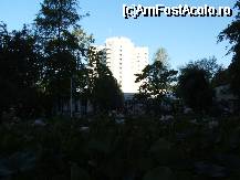 [P12] Baile Felix - lacurile artificiale cu nuferi, in fundal hotel International » foto by danoradea
 - 
<span class="allrVoted glyphicon glyphicon-heart hidden" id="av32283"></span>
<a class="m-l-10 hidden" id="sv32283" onclick="voting_Foto_DelVot(,32283,3846)" role="button">șterge vot <span class="glyphicon glyphicon-remove"></span></a>
<a id="v932283" class=" c-red"  onclick="voting_Foto_SetVot(32283)" role="button"><span class="glyphicon glyphicon-heart-empty"></span> <b>LIKE</b> = Votează poza</a> <img class="hidden"  id="f32283W9" src="/imagini/loader.gif" border="0" /><span class="AjErrMes hidden" id="e32283ErM"></span>