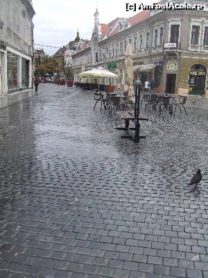 [P15] Prin centru, după ploaie!  » foto by amalia80
 - 
<span class="allrVoted glyphicon glyphicon-heart hidden" id="av651062"></span>
<a class="m-l-10 hidden" id="sv651062" onclick="voting_Foto_DelVot(,651062,3848)" role="button">șterge vot <span class="glyphicon glyphicon-remove"></span></a>
<a id="v9651062" class=" c-red"  onclick="voting_Foto_SetVot(651062)" role="button"><span class="glyphicon glyphicon-heart-empty"></span> <b>LIKE</b> = Votează poza</a> <img class="hidden"  id="f651062W9" src="/imagini/loader.gif" border="0" /><span class="AjErrMes hidden" id="e651062ErM"></span>