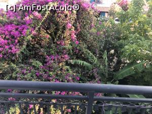 [P10] 'Vederea' de pe balcon » foto by Rta
 - 
<span class="allrVoted glyphicon glyphicon-heart hidden" id="av998559"></span>
<a class="m-l-10 hidden" id="sv998559" onclick="voting_Foto_DelVot(,998559,3858)" role="button">șterge vot <span class="glyphicon glyphicon-remove"></span></a>
<a id="v9998559" class=" c-red"  onclick="voting_Foto_SetVot(998559)" role="button"><span class="glyphicon glyphicon-heart-empty"></span> <b>LIKE</b> = Votează poza</a> <img class="hidden"  id="f998559W9" src="/imagini/loader.gif" border="0" /><span class="AjErrMes hidden" id="e998559ErM"></span>