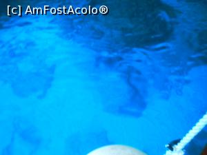 [P16] nuante de albastru in mare » foto by ManuelaManu
 - 
<span class="allrVoted glyphicon glyphicon-heart hidden" id="av755005"></span>
<a class="m-l-10 hidden" id="sv755005" onclick="voting_Foto_DelVot(,755005,3858)" role="button">șterge vot <span class="glyphicon glyphicon-remove"></span></a>
<a id="v9755005" class=" c-red"  onclick="voting_Foto_SetVot(755005)" role="button"><span class="glyphicon glyphicon-heart-empty"></span> <b>LIKE</b> = Votează poza</a> <img class="hidden"  id="f755005W9" src="/imagini/loader.gif" border="0" /><span class="AjErrMes hidden" id="e755005ErM"></span>
