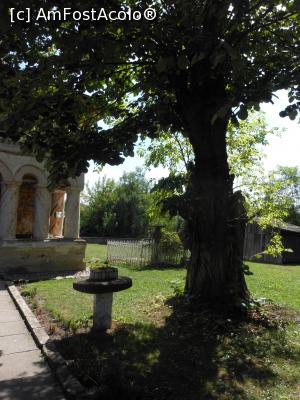 [P05] Biserica veche din Măldăreștii de Sus - Curtea. » foto by iulianic
 - 
<span class="allrVoted glyphicon glyphicon-heart hidden" id="av1256755"></span>
<a class="m-l-10 hidden" id="sv1256755" onclick="voting_Foto_DelVot(,1256755,3860)" role="button">șterge vot <span class="glyphicon glyphicon-remove"></span></a>
<a id="v91256755" class=" c-red"  onclick="voting_Foto_SetVot(1256755)" role="button"><span class="glyphicon glyphicon-heart-empty"></span> <b>LIKE</b> = Votează poza</a> <img class="hidden"  id="f1256755W9" src="/imagini/loader.gif" border="0" /><span class="AjErrMes hidden" id="e1256755ErM"></span>