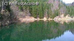 [P16] Lacul Balota oglinda muntilor » foto by zlatna
 - 
<span class="allrVoted glyphicon glyphicon-heart hidden" id="av732791"></span>
<a class="m-l-10 hidden" id="sv732791" onclick="voting_Foto_DelVot(,732791,3860)" role="button">șterge vot <span class="glyphicon glyphicon-remove"></span></a>
<a id="v9732791" class=" c-red"  onclick="voting_Foto_SetVot(732791)" role="button"><span class="glyphicon glyphicon-heart-empty"></span> <b>LIKE</b> = Votează poza</a> <img class="hidden"  id="f732791W9" src="/imagini/loader.gif" border="0" /><span class="AjErrMes hidden" id="e732791ErM"></span>