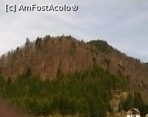 [P21] Peisaj din zona lacului » foto by zlatna
 - 
<span class="allrVoted glyphicon glyphicon-heart hidden" id="av732796"></span>
<a class="m-l-10 hidden" id="sv732796" onclick="voting_Foto_DelVot(,732796,3860)" role="button">șterge vot <span class="glyphicon glyphicon-remove"></span></a>
<a id="v9732796" class=" c-red"  onclick="voting_Foto_SetVot(732796)" role="button"><span class="glyphicon glyphicon-heart-empty"></span> <b>LIKE</b> = Votează poza</a> <img class="hidden"  id="f732796W9" src="/imagini/loader.gif" border="0" /><span class="AjErrMes hidden" id="e732796ErM"></span>