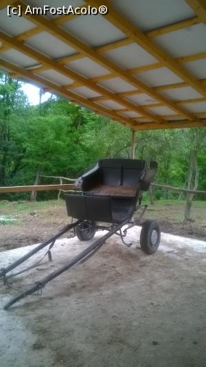 [P13] v-ar plăcea să vă plimbaţi cu şaretă? » foto by zlatna
 - 
<span class="allrVoted glyphicon glyphicon-heart hidden" id="av868187"></span>
<a class="m-l-10 hidden" id="sv868187" onclick="voting_Foto_DelVot(,868187,3860)" role="button">șterge vot <span class="glyphicon glyphicon-remove"></span></a>
<a id="v9868187" class=" c-red"  onclick="voting_Foto_SetVot(868187)" role="button"><span class="glyphicon glyphicon-heart-empty"></span> <b>LIKE</b> = Votează poza</a> <img class="hidden"  id="f868187W9" src="/imagini/loader.gif" border="0" /><span class="AjErrMes hidden" id="e868187ErM"></span>