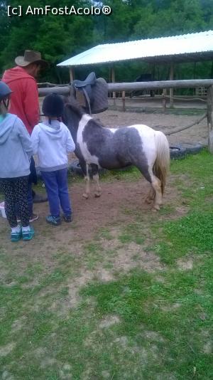 [P16] primul instructaj pentru Sofia » foto by zlatna
 - 
<span class="allrVoted glyphicon glyphicon-heart hidden" id="av868196"></span>
<a class="m-l-10 hidden" id="sv868196" onclick="voting_Foto_DelVot(,868196,3860)" role="button">șterge vot <span class="glyphicon glyphicon-remove"></span></a>
<a id="v9868196" class=" c-red"  onclick="voting_Foto_SetVot(868196)" role="button"><span class="glyphicon glyphicon-heart-empty"></span> <b>LIKE</b> = Votează poza</a> <img class="hidden"  id="f868196W9" src="/imagini/loader.gif" border="0" /><span class="AjErrMes hidden" id="e868196ErM"></span>