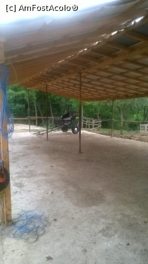 [P04] sub un acoperiş ne aşteaptă o şaretă » foto by zlatna
 - 
<span class="allrVoted glyphicon glyphicon-heart hidden" id="av868169"></span>
<a class="m-l-10 hidden" id="sv868169" onclick="voting_Foto_DelVot(,868169,3860)" role="button">șterge vot <span class="glyphicon glyphicon-remove"></span></a>
<a id="v9868169" class=" c-red"  onclick="voting_Foto_SetVot(868169)" role="button"><span class="glyphicon glyphicon-heart-empty"></span> <b>LIKE</b> = Votează poza</a> <img class="hidden"  id="f868169W9" src="/imagini/loader.gif" border="0" /><span class="AjErrMes hidden" id="e868169ErM"></span>