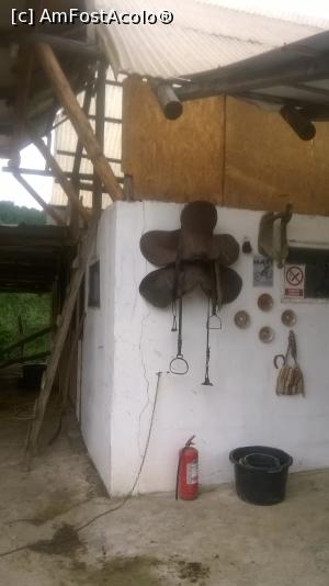 [P05] două şei şi obiecte de artizanat » foto by zlatna
 - 
<span class="allrVoted glyphicon glyphicon-heart hidden" id="av868170"></span>
<a class="m-l-10 hidden" id="sv868170" onclick="voting_Foto_DelVot(,868170,3860)" role="button">șterge vot <span class="glyphicon glyphicon-remove"></span></a>
<a id="v9868170" class=" c-red"  onclick="voting_Foto_SetVot(868170)" role="button"><span class="glyphicon glyphicon-heart-empty"></span> <b>LIKE</b> = Votează poza</a> <img class="hidden"  id="f868170W9" src="/imagini/loader.gif" border="0" /><span class="AjErrMes hidden" id="e868170ErM"></span>