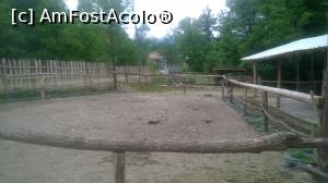 [P08] tarcul unde se călăreşte » foto by zlatna
 - 
<span class="allrVoted glyphicon glyphicon-heart hidden" id="av868177"></span>
<a class="m-l-10 hidden" id="sv868177" onclick="voting_Foto_DelVot(,868177,3860)" role="button">șterge vot <span class="glyphicon glyphicon-remove"></span></a>
<a id="v9868177" class=" c-red"  onclick="voting_Foto_SetVot(868177)" role="button"><span class="glyphicon glyphicon-heart-empty"></span> <b>LIKE</b> = Votează poza</a> <img class="hidden"  id="f868177W9" src="/imagini/loader.gif" border="0" /><span class="AjErrMes hidden" id="e868177ErM"></span>