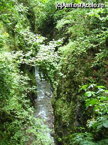 [P18] Oltetul si-a facut drum printre stanci » foto by lizuk
 - 
<span class="allrVoted glyphicon glyphicon-heart hidden" id="av108665"></span>
<a class="m-l-10 hidden" id="sv108665" onclick="voting_Foto_DelVot(,108665,3860)" role="button">șterge vot <span class="glyphicon glyphicon-remove"></span></a>
<a id="v9108665" class=" c-red"  onclick="voting_Foto_SetVot(108665)" role="button"><span class="glyphicon glyphicon-heart-empty"></span> <b>LIKE</b> = Votează poza</a> <img class="hidden"  id="f108665W9" src="/imagini/loader.gif" border="0" /><span class="AjErrMes hidden" id="e108665ErM"></span>