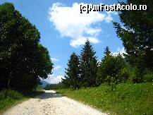 [P24] Acesta este drumul ce duce spre Lacul Petrimanu » foto by lizuk
 - 
<span class="allrVoted glyphicon glyphicon-heart hidden" id="av108674"></span>
<a class="m-l-10 hidden" id="sv108674" onclick="voting_Foto_DelVot(,108674,3860)" role="button">șterge vot <span class="glyphicon glyphicon-remove"></span></a>
<a id="v9108674" class=" c-red"  onclick="voting_Foto_SetVot(108674)" role="button"><span class="glyphicon glyphicon-heart-empty"></span> <b>LIKE</b> = Votează poza</a> <img class="hidden"  id="f108674W9" src="/imagini/loader.gif" border="0" /><span class="AjErrMes hidden" id="e108674ErM"></span>