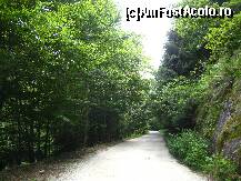 [P26]  -- <small>// FĂRĂ DESCRIERE</small> » foto by lizuk
 - 
<span class="allrVoted glyphicon glyphicon-heart hidden" id="av108676"></span>
<a class="m-l-10 hidden" id="sv108676" onclick="voting_Foto_DelVot(,108676,3860)" role="button">șterge vot <span class="glyphicon glyphicon-remove"></span></a>
<a id="v9108676" class=" c-red"  onclick="voting_Foto_SetVot(108676)" role="button"><span class="glyphicon glyphicon-heart-empty"></span> <b>LIKE</b> = Votează poza</a> <img class="hidden"  id="f108676W9" src="/imagini/loader.gif" border="0" /><span class="AjErrMes hidden" id="e108676ErM"></span>