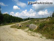 [P05]  -- <small>// FĂRĂ DESCRIERE</small> » foto by lizuk
 - 
<span class="allrVoted glyphicon glyphicon-heart hidden" id="av108646"></span>
<a class="m-l-10 hidden" id="sv108646" onclick="voting_Foto_DelVot(,108646,3860)" role="button">șterge vot <span class="glyphicon glyphicon-remove"></span></a>
<a id="v9108646" class=" c-red"  onclick="voting_Foto_SetVot(108646)" role="button"><span class="glyphicon glyphicon-heart-empty"></span> <b>LIKE</b> = Votează poza</a> <img class="hidden"  id="f108646W9" src="/imagini/loader.gif" border="0" /><span class="AjErrMes hidden" id="e108646ErM"></span>