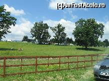 [P19] Masini pe toate drumurile laturalnice locatiei destinate targului.... » foto by mirelutza
 - 
<span class="allrVoted glyphicon glyphicon-heart hidden" id="av93152"></span>
<a class="m-l-10 hidden" id="sv93152" onclick="voting_Foto_DelVot(,93152,3860)" role="button">șterge vot <span class="glyphicon glyphicon-remove"></span></a>
<a id="v993152" class=" c-red"  onclick="voting_Foto_SetVot(93152)" role="button"><span class="glyphicon glyphicon-heart-empty"></span> <b>LIKE</b> = Votează poza</a> <img class="hidden"  id="f93152W9" src="/imagini/loader.gif" border="0" /><span class="AjErrMes hidden" id="e93152ErM"></span>