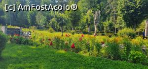 [P25] Cromatică din parc » foto by Nobodyforever
 - 
<span class="allrVoted glyphicon glyphicon-heart hidden" id="av1317165"></span>
<a class="m-l-10 hidden" id="sv1317165" onclick="voting_Foto_DelVot(,1317165,3860)" role="button">șterge vot <span class="glyphicon glyphicon-remove"></span></a>
<a id="v91317165" class=" c-red"  onclick="voting_Foto_SetVot(1317165)" role="button"><span class="glyphicon glyphicon-heart-empty"></span> <b>LIKE</b> = Votează poza</a> <img class="hidden"  id="f1317165W9" src="/imagini/loader.gif" border="0" /><span class="AjErrMes hidden" id="e1317165ErM"></span>