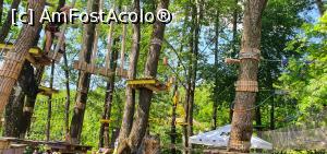 [P03] Balet la &icirc;nălțime » foto by Nobodyforever
 - 
<span class="allrVoted glyphicon glyphicon-heart hidden" id="av1317143"></span>
<a class="m-l-10 hidden" id="sv1317143" onclick="voting_Foto_DelVot(,1317143,3860)" role="button">șterge vot <span class="glyphicon glyphicon-remove"></span></a>
<a id="v91317143" class=" c-red"  onclick="voting_Foto_SetVot(1317143)" role="button"><span class="glyphicon glyphicon-heart-empty"></span> <b>LIKE</b> = Votează poza</a> <img class="hidden"  id="f1317143W9" src="/imagini/loader.gif" border="0" /><span class="AjErrMes hidden" id="e1317143ErM"></span>