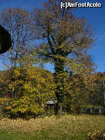 [P21] Horezu - Biserica 'Sfintii Ingeri' (Romanii de Jos) - toamana in curtea bisericii... » foto by magdalena
 - 
<span class="allrVoted glyphicon glyphicon-heart hidden" id="av158661"></span>
<a class="m-l-10 hidden" id="sv158661" onclick="voting_Foto_DelVot(,158661,3860)" role="button">șterge vot <span class="glyphicon glyphicon-remove"></span></a>
<a id="v9158661" class=" c-red"  onclick="voting_Foto_SetVot(158661)" role="button"><span class="glyphicon glyphicon-heart-empty"></span> <b>LIKE</b> = Votează poza</a> <img class="hidden"  id="f158661W9" src="/imagini/loader.gif" border="0" /><span class="AjErrMes hidden" id="e158661ErM"></span>