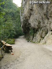[P05] Cheile Oltetului - mesele din lemn se afla in fata intrarii in Pestera Polovragi (care era inchisa cand am ajuns noi) » foto by ascent
 - 
<span class="allrVoted glyphicon glyphicon-heart hidden" id="av151763"></span>
<a class="m-l-10 hidden" id="sv151763" onclick="voting_Foto_DelVot(,151763,3860)" role="button">șterge vot <span class="glyphicon glyphicon-remove"></span></a>
<a id="v9151763" class=" c-red"  onclick="voting_Foto_SetVot(151763)" role="button"><span class="glyphicon glyphicon-heart-empty"></span> <b>LIKE</b> = Votează poza</a> <img class="hidden"  id="f151763W9" src="/imagini/loader.gif" border="0" /><span class="AjErrMes hidden" id="e151763ErM"></span>